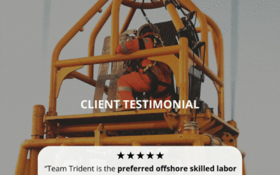 Client Success Story: Global Leader in Geotechnical Solutions